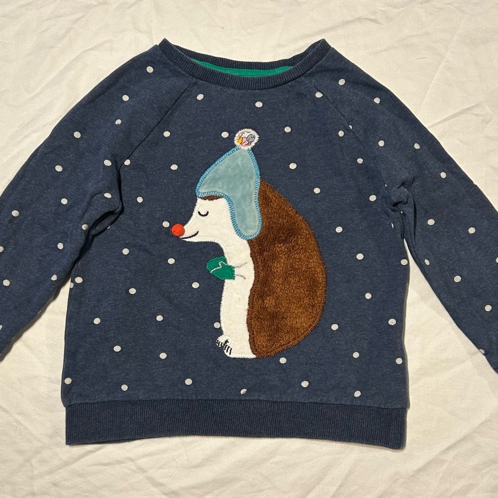 Hedgehog Sweatshirt